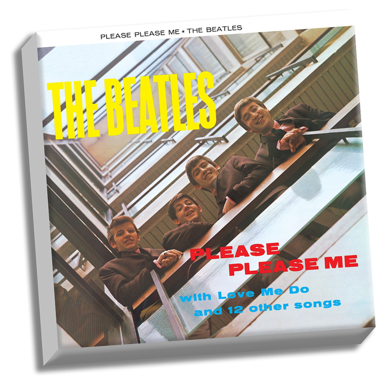Picture of Beatles ART: The Beatles Please Please Me 20" x 20" Stretched Canvas