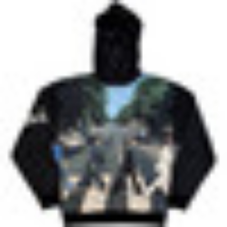 Picture of Beatles Unisex Pullover Hoodie: Abbey Road (Black) (All Over Print)